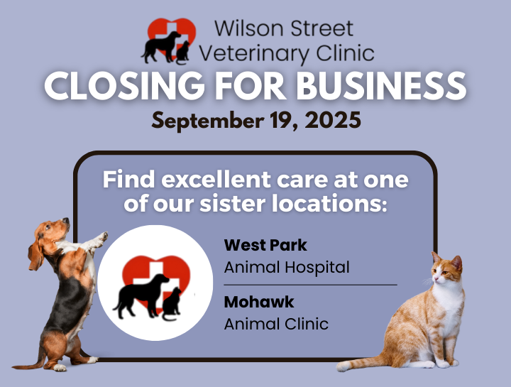 Wilson Street Veterinary Clinic Is Closing for Business